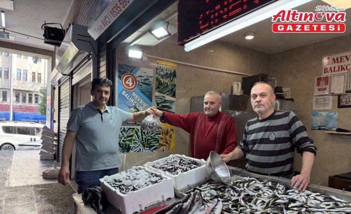 Trabzon'da balıkçı tezgahlarında istavrit ilgi görüyor