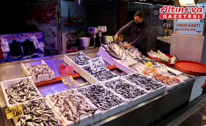 Trabzon'da hamsinin kilogramı 75 liradan satılıyor
