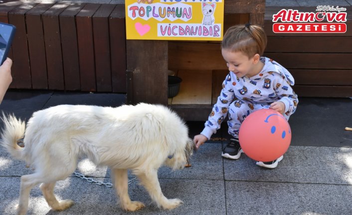 Trabzon'da öğrenciler “Dünya Hayvanları Koruma Günü“nde köpek kulübelerini renklendirdi