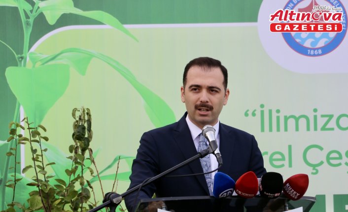 Trabzon'da üreticilere ücretsiz 5 bin 300 meyve fidanı dağıtıldı