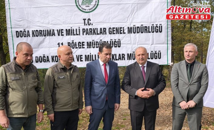 Ünye'de kahverengi kokarcaya karşı doğaya 200 sülün salındı