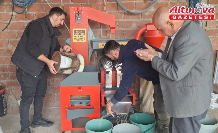 Bafra Ovası'nda kurulan makinede çeltiğin randımanı tespit ediliyor