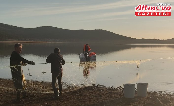 Bolu'da göle bırakılan 5 bin metrelik ağdaki 500 balık kurtarıldı