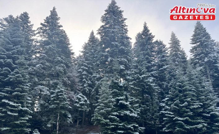 Bolu'nun yüksek kesimlerine kar yağdı