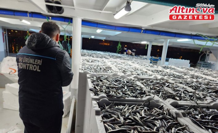 Doğu Karadeniz'de hamsi büyüklüğü ve bolluğuyla yüzleri güldürüyor