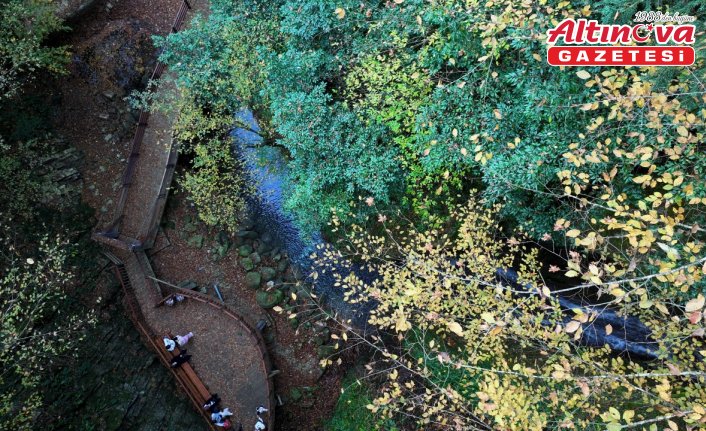 Düzce'nin ekoturizm rotası Aktaş Şelalesi, misafirlerini sonbahar renkleriyle ağırlıyor
