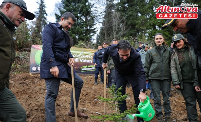 Giresun'da Milli Ağaçlandırma Günü etkinlikleri