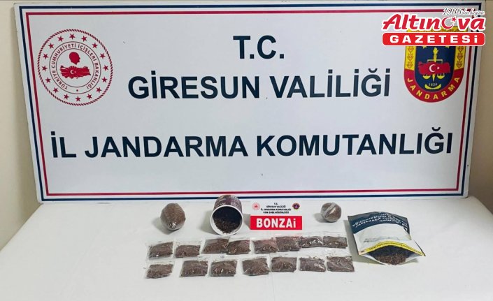 Giresun'da uyuşturucu operasyonu