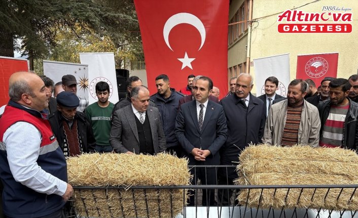 İskilip'te üreticilere küçükbaş hayvan yemliği ve otluğu dağıtıldı