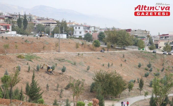 Kahramanmaraş'ta karbon emiliminin artırılması için 75 dönüm alan ağaçlandırılıyor