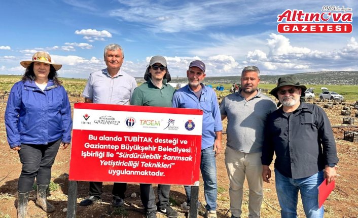 Karabük Üniversitesinden sarımsak üretimine bilimsel katkı