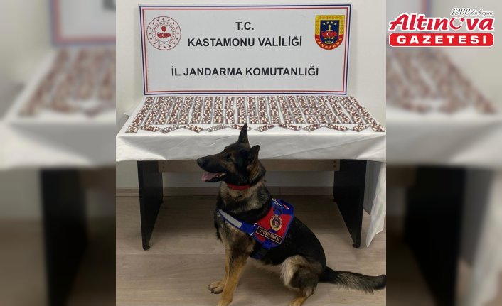Kastamonu'da 1344 uyuşturucu hapla yakalanan şüpheli tutuklandı