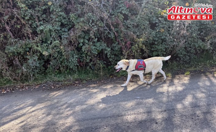 Kastamonu'da kaybolan anne ve oğlunu arama çalışmaları devam ediyor