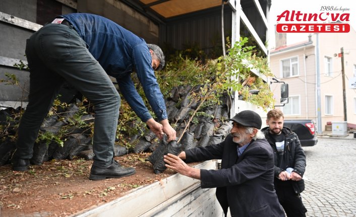 Konya'da çiftçiler kuraklığa karşı sumak üretimine özendiriliyor