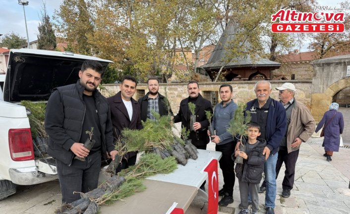 Merzifon’da şehit askerler için fidan dağıtıldı