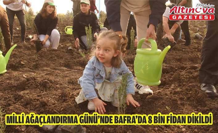 Milli Ağaçlandırma Günü’nde Bafra’da 8 Bin Fidan Dikildi