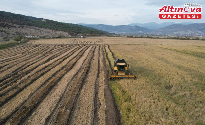 Modern kurutma pirinçte lezzet ve verim kalitesini artırıyor