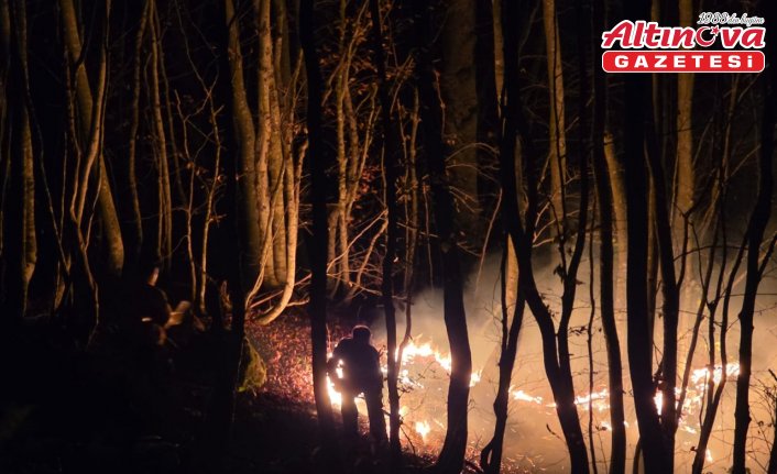 Ordu'da çıkan örtü yangını kontrol altına alındı