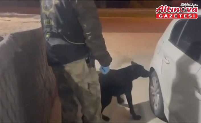 Samsun'da bagaja gizlenen uyuşturucu, narkotik dedektör köpeği “Tony“nin desteğiyle bulundu