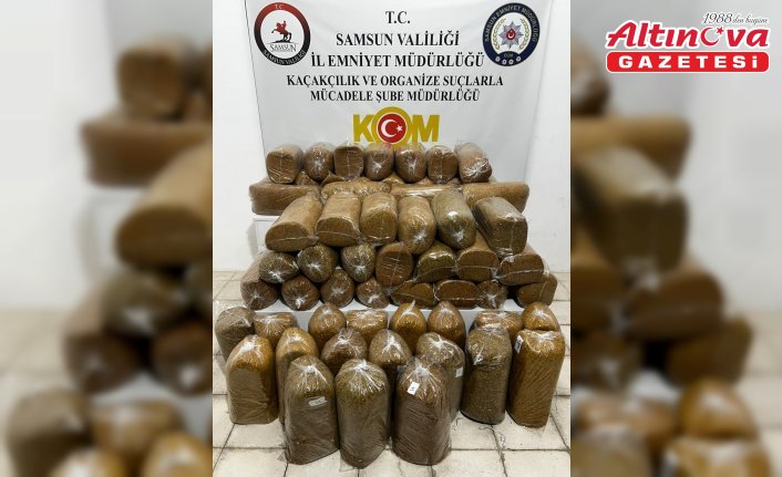 Samsun'da 290 kilogram kaçak tütün ele geçirildi