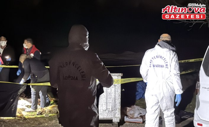 Samsun'da 9 köpeğin ölü bulunmasıyla ilgili soruşturma başlatıldı