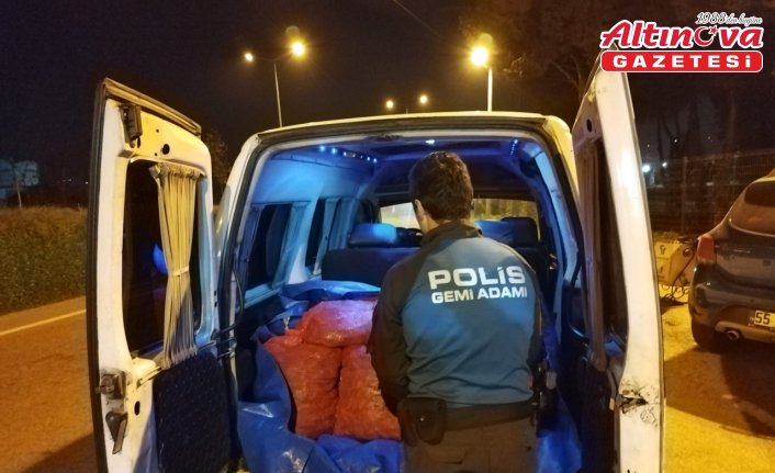 Samsun'da kaçak avlanan 200 kilogram midye ele geçirildi