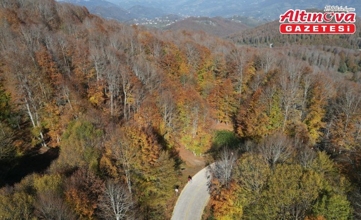 Samsun'daki Nebiyan Dağı sonbahar renklerine büründü