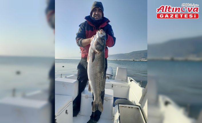 Sinop'ta amatör balıkçı oltayla yaklaşık 10 kilogramlık levrek yakaladı