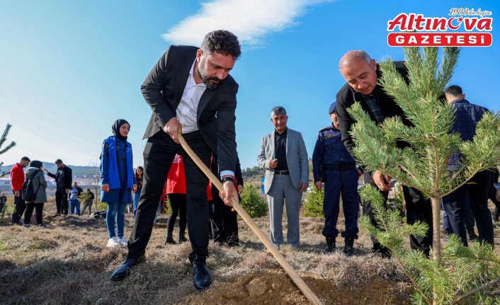 Taşköprü'de Milli Ağaçlandırma Günü'nde 600 fidan dikildi