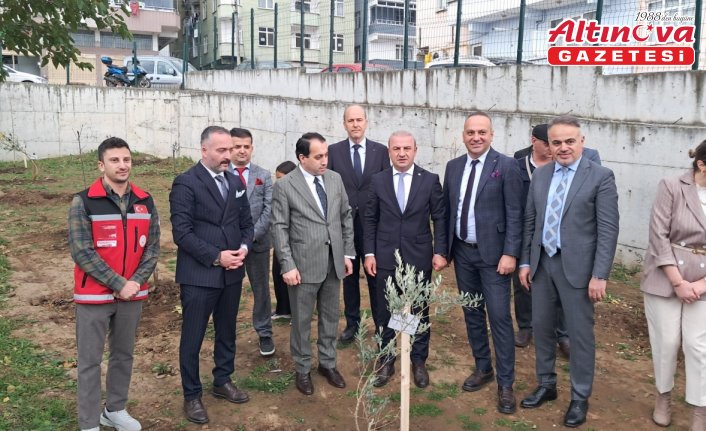 Tekkeköy'de okul bahçesine 50 meyve fidanı dikildi