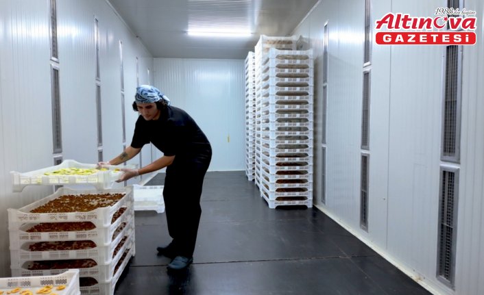 TOGÜ Çiftlik Tarım Ürünleri Kurutma Tesisi öğrencilerin yeni gözdesi oldu