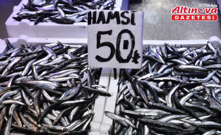 Trabzon'da balıkçı tezgahlarını hamsi süslüyor