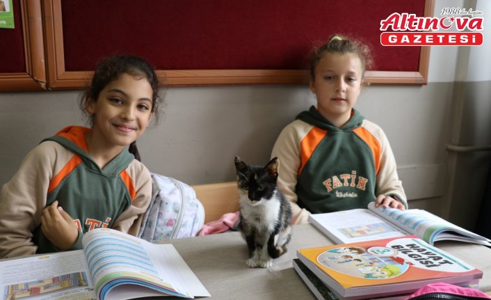 Yavru kediler “Cingöz“ ve “Boncuk“ sınıfın maskotu oldu