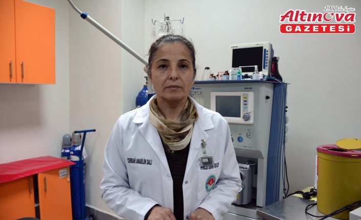 Yüksekten düşerek damağı yarılan kedi nadir uygulanan teknikle tedavi edildi