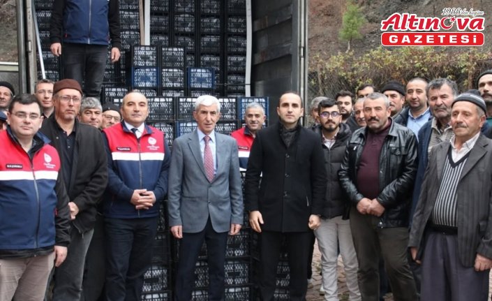 Çorum'da çiftçilere çilek fidesi ile ceviz fidanı dağıtıldı