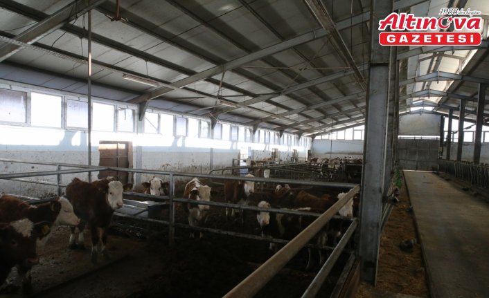 Devlet desteğiyle 4 olan hayvan sayısını 9 yılda 80'e çıkardı