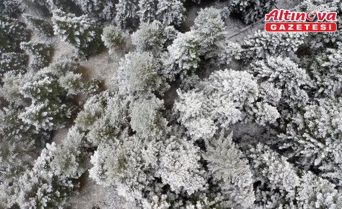 Ilgaz Dağı'nda kar ve sis etkili oldu