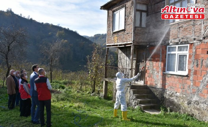 Ordu'da kokarca ile mücadele kapsamında 50 bin kışlak ilaçlandı