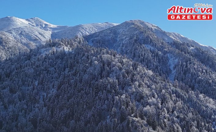 Rize ve Artvin'in yüksek kesimlerinde kar etkili oldu