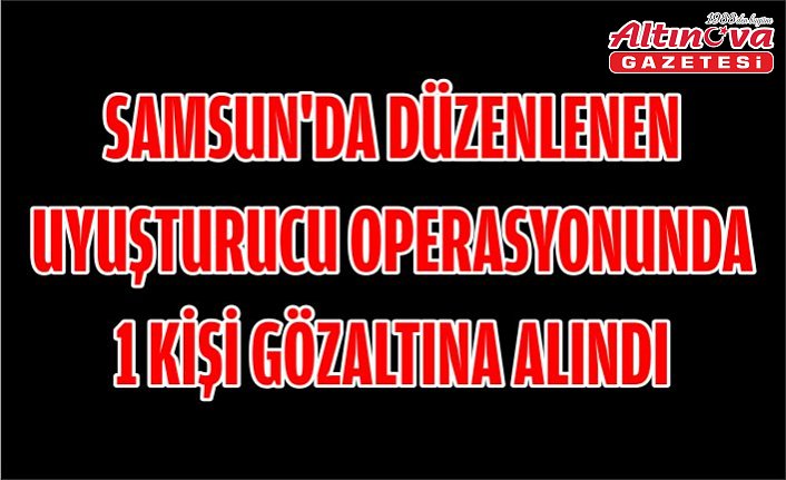 Samsun'da düzenlenen uyuşturucu operasyonunda 1 kişi gözaltına alındı