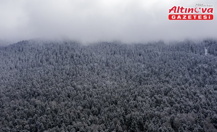Gölcük Tabiat Parkı, Topuk Yaylası ve Karabük'teki ormanlar beyaza büründü