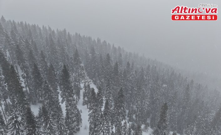 Kastamonu'nun yüksek kesimlerinde yoğun kar yağışı ve sis etkili oluyor