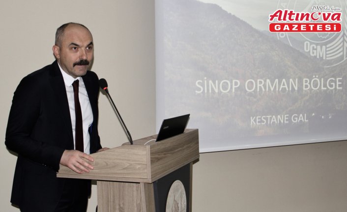 Sinop'ta kestane ağaçlarını korumak için 10 bin avcı böcek görev yapacak