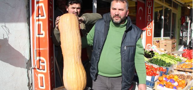 24 Kilogramlık Bal Kabağı İlgi Odağı Oldu