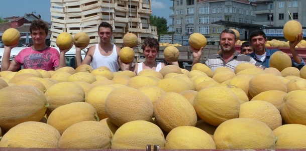 Karpuz-Kavun Üreticisi Altın Yılını Yaşıyor 