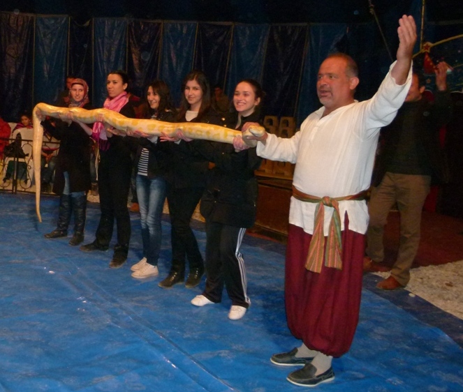  BAFRA’DA ATLAS SİRKİ AÇILDI 