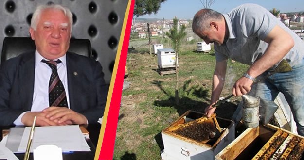 Arı Yetiştiricilerine İlkbahar Bakımı Uyarısı