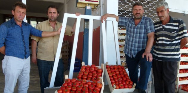 Bafra Yerli Domatesi Tezgâhlarda Yerini Aldı