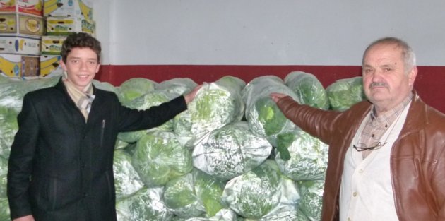 BAFRA’DA BEYAZ LAHANA İLGİ GÖRÜYOR