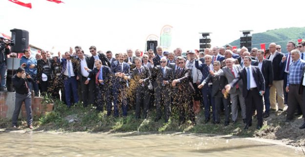 Bafra'da Çeltik Ekim Günü Etkinliği Düzenlendi
